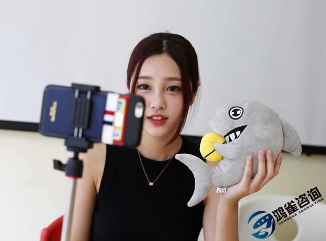 文網(wǎng)文經(jīng)營許可證代辦多少錢